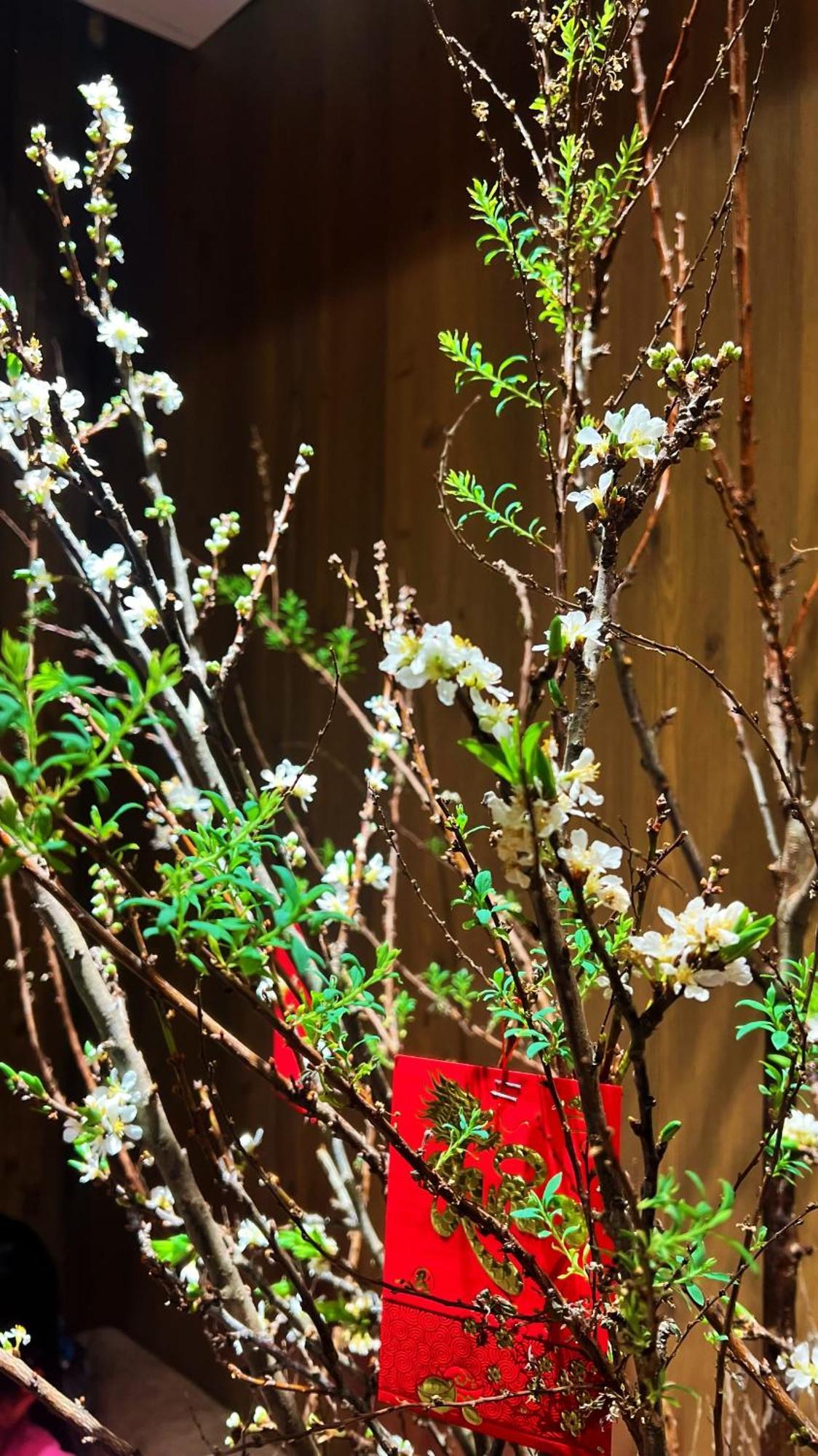 Rosa Zen Hotel Spa Ho Či Minovo Město Exteriér fotografie